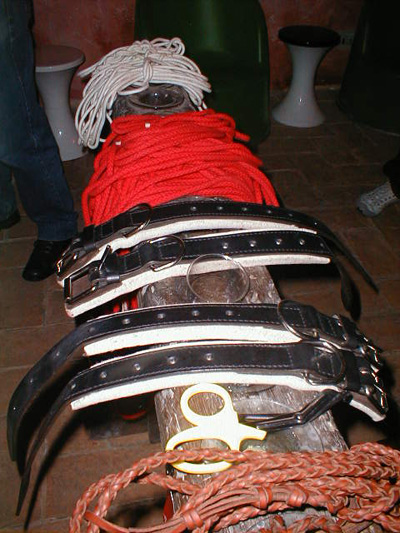 Giochi erotici con bondage nel garage. Soter Mulè condannato a 4 anni e otto mesi Giochi erotici con bondage nel garage. Soter Mulè condannato a 4 anni e otto mesi