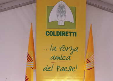 Cibi “troppo brutti” per l’Europa. La cena anti-spreco dei ministri