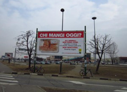 Bimbo a pezzi in vaschetta. Spot choc dei vegani Bimbo a pezzi in vaschetta. Spot choc dei vegani