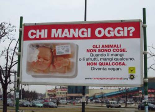 Bimbo a pezzi in vaschetta. Spot choc dei vegani Bimbo a pezzi in vaschetta. Spot choc dei vegani
