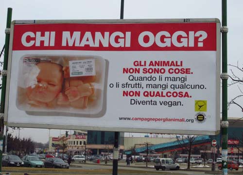 Bimbo a pezzi in vaschetta. Spot choc dei vegani Bimbo a pezzi in vaschetta. Spot choc dei vegani