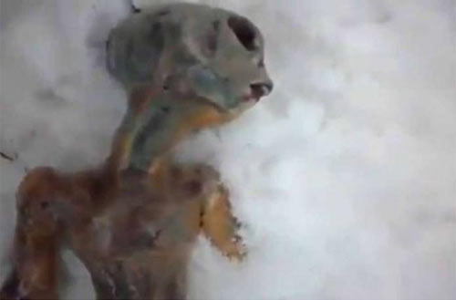 Robbie Williams: “Sono stato rapito dagli alieni”. Il nuovo racconto