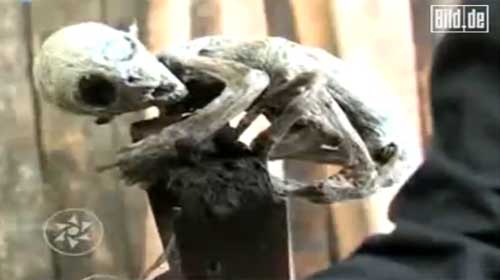 Ufo a Barcellona. Alieno ritrovato: “Proviene da un’altra galassia”