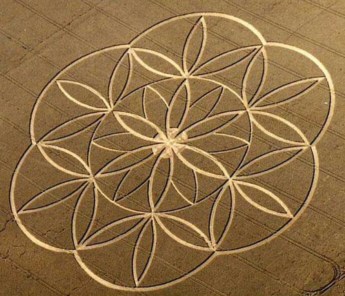 Usa, in un convegno svelati i segreti sugli Ufo Usa, in un convegno svelati i segreti sugli Ufo