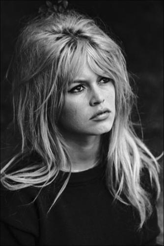 Brigitte Bardot ritrova l’amatissimo gatto