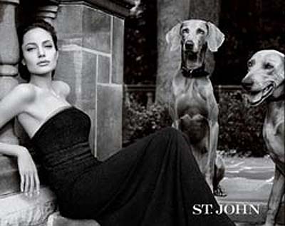 Angelina Jolie si è fatta asportare entrambi i seni: “Rischiavo il cancro”