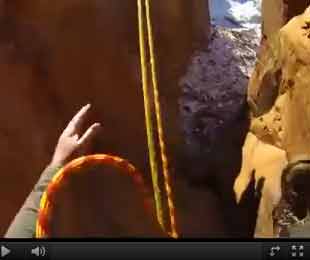 Vi annoiate troppo in ufficio? Ecco i migliori video per distrarsi