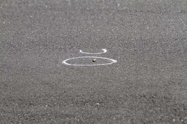 Vigile sospeso dal servizio. Entra in municipio e spara al sindaco