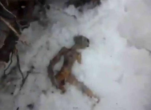 Trovato un uovo di alieno Trovato un uovo di alieno