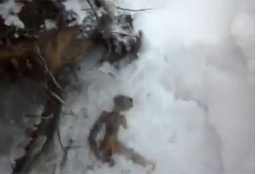 Trovato un uovo di alieno Trovato un uovo di alieno