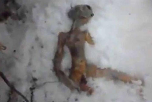 Trovato un uovo di alieno Trovato un uovo di alieno