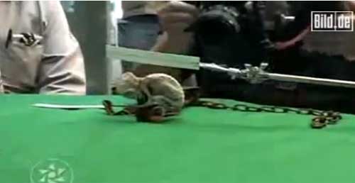 Trovato un uovo di alieno Trovato un uovo di alieno