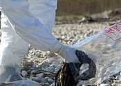 Cina, a Pechino confermato un altro caso di H7n9 Cina, a Pechino confermato un altro caso di H7n9
