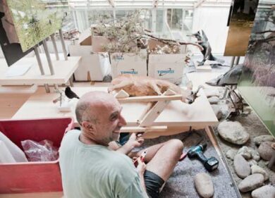 Countdown per il Muse, a Trento il nuovo Museo Delle Scienze