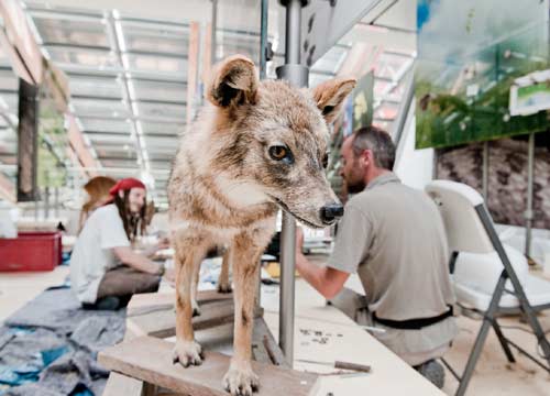 Countdown per il Muse, a Trento il nuovo Museo Delle Scienze