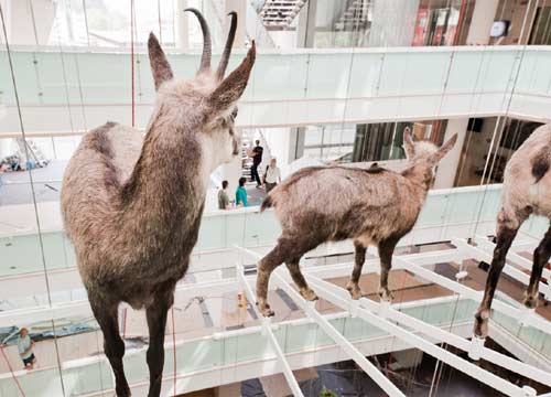 Countdown per il Muse, a Trento il nuovo Museo Delle Scienze