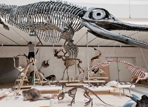 Countdown per il Muse, a Trento il nuovo Museo Delle Scienze