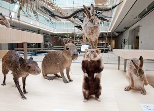 Countdown per il Muse, a Trento il nuovo Museo Delle Scienze