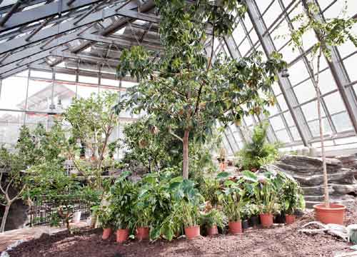 Countdown per il Muse, a Trento il nuovo Museo Delle Scienze