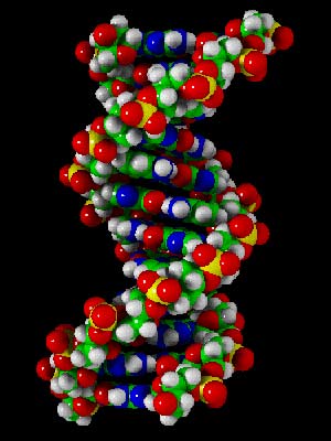Creato il virus più mortale del mondo