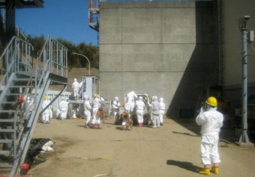 Giappone: Fukushima, fuoriuscite 300 tonnellate acqua radioattiva Giappone: Fukushima, fuoriuscite 300 tonnellate acqua radioattiva