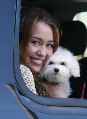Miley Cyrus si difende dopo la scandalosa esibizione agli Mtv Vma Miley Cyrus si difende dopo la scandalosa esibizione agli Mtv Vma