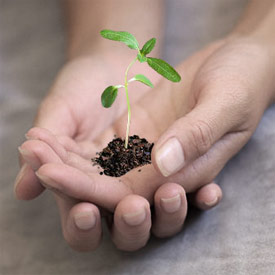 Lombardia regina del non profit