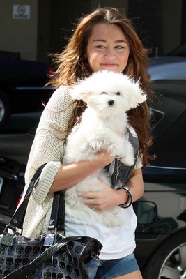 Video scandalosi e vietati ai minori: ecco le trasgressive regine del pop