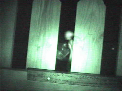 Margherita Hack, l’ultimo libro risponde alla domanda: “C’è qualcuno là fuori?”