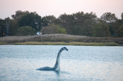 Avvistato in Australia il mostro di Loch Ness Avvistato in Australia il mostro di Loch Ness