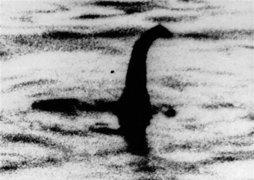 Avvistato in Australia il mostro di Loch Ness Avvistato in Australia il mostro di Loch Ness