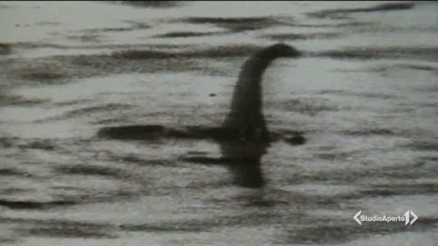 Avvistato in Australia il mostro di Loch Ness Avvistato in Australia il mostro di Loch Ness