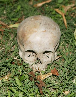 Vendeva resti umani su eBay: arrestato un italiano