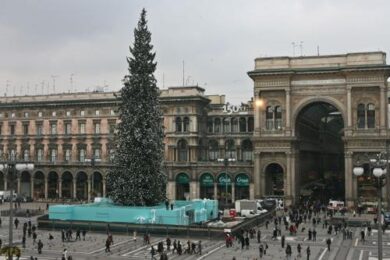 Natale, in arrivo un albero di 30 metri