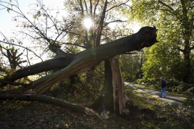 Allarme per la tempesta Xaver. Aereo atterra con brivido. Video