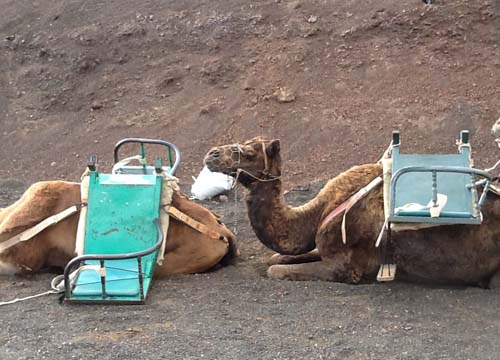 Le vacanze invernali? Al sole di Lanzarote Le vacanze invernali? Al sole di Lanzarote