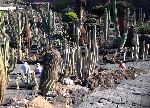 Le vacanze invernali? Al sole di Lanzarote Le vacanze invernali? Al sole di Lanzarote