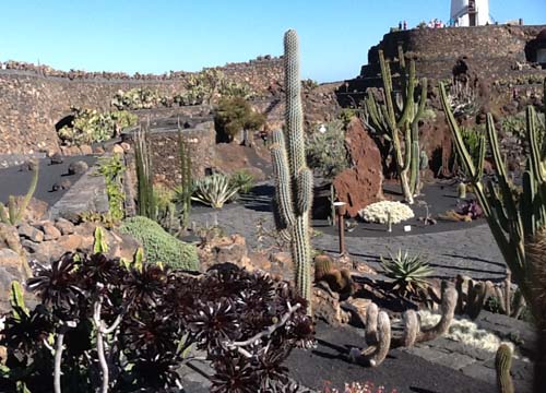 Le vacanze invernali? Al sole di Lanzarote Le vacanze invernali? Al sole di Lanzarote