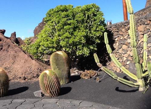 Le vacanze invernali? Al sole di Lanzarote Le vacanze invernali? Al sole di Lanzarote
