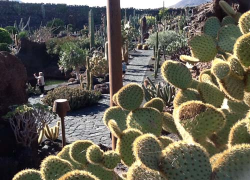 Le vacanze invernali? Al sole di Lanzarote Le vacanze invernali? Al sole di Lanzarote