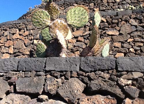 Le vacanze invernali? Al sole di Lanzarote Le vacanze invernali? Al sole di Lanzarote
