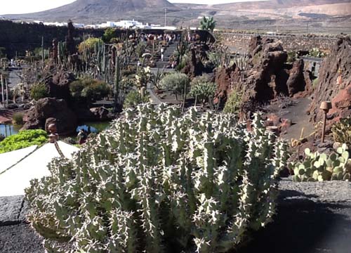 Le vacanze invernali? Al sole di Lanzarote Le vacanze invernali? Al sole di Lanzarote