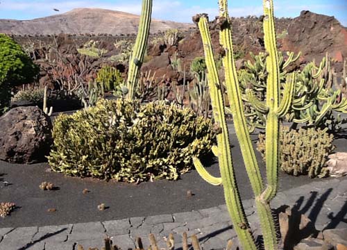Le vacanze invernali? Al sole di Lanzarote Le vacanze invernali? Al sole di Lanzarote