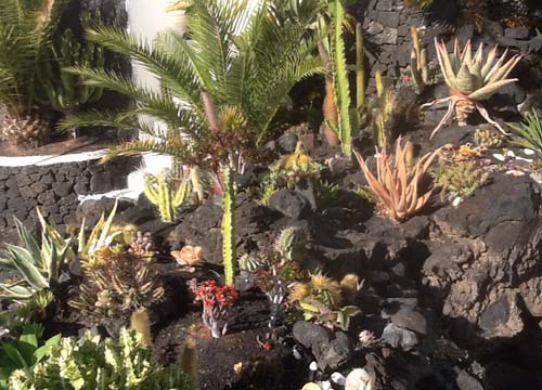 Le vacanze invernali? Al sole di Lanzarote Le vacanze invernali? Al sole di Lanzarote