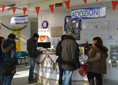 Lunedì la “Baufana”. Festa per i 4 zampe
