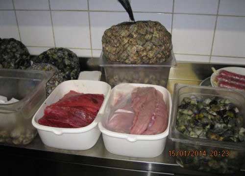 Nei ristoranti del centro il “pesce dei misteri” Nei ristoranti del centro il “pesce dei misteri”