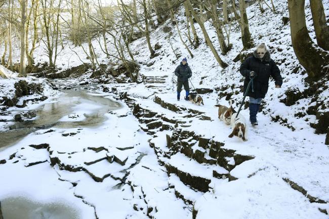 Tra lunedì e martedì arriva il gelo e la neve in pianura Tra lunedì e martedì arriva il gelo e la neve in pianura