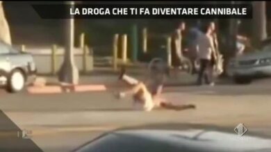 Video / La droga che rende cannibale!