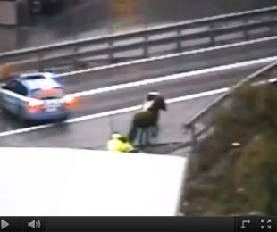 Video: Cavalli fuggiti in autostrada
