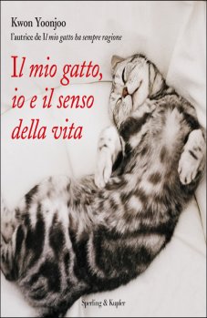 In libreria le avventure comiche di un gatto… In libreria le avventure comiche di un gatto…